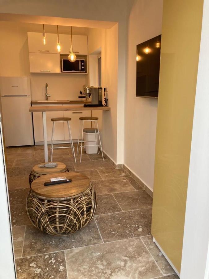 Charmant Studio Dans Villa - Parking - Jardin 滨海拉塞讷 外观 照片